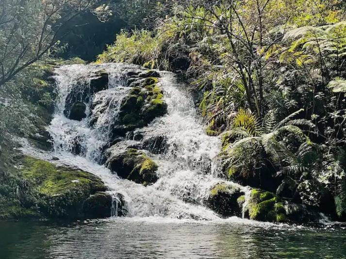 Coromandel Secluded Log Cabin Retreat Hikuai Εξωτερικό φωτογραφία