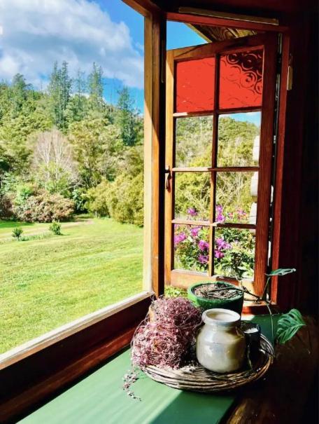 Coromandel Secluded Log Cabin Retreat Hikuai Εξωτερικό φωτογραφία