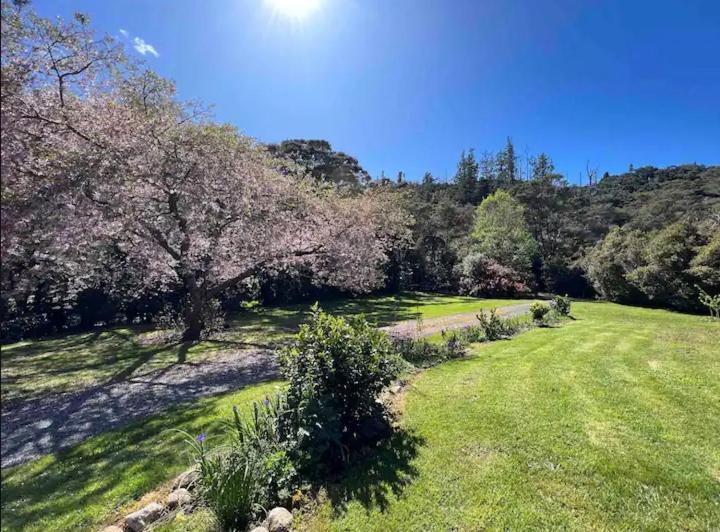 Coromandel Secluded Log Cabin Retreat Hikuai Εξωτερικό φωτογραφία